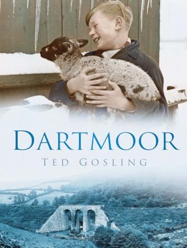 Dartmoor britain old - dartmoor, (britain