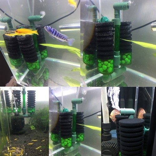 Types aquarium sponge filter - aquarium,