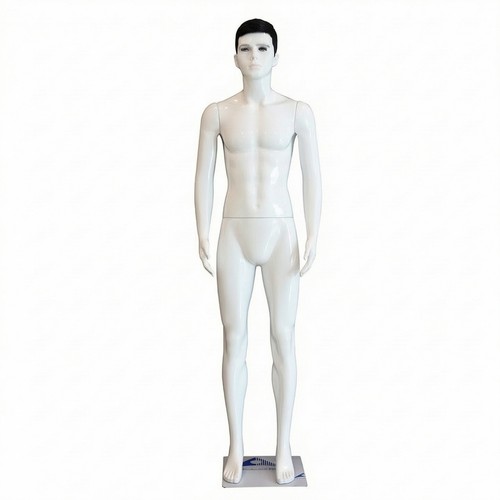 Male full body mannequin - male,