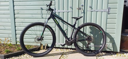 Bergamot revox mountain - bergamot,