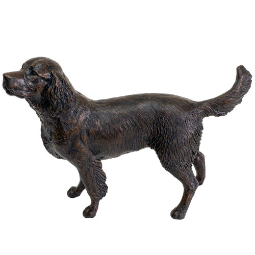 Richard cooper limited edition - richard,