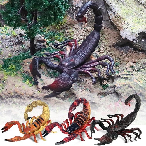 Toy halloween supplies kids - toy,