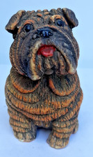 wrinkled brown Bulldog puppy