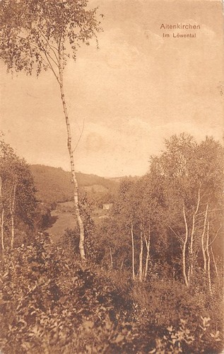 413743 postcard löwental - 413743), in