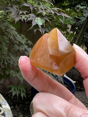 Dreamcoat lemurian seed - lemurian,