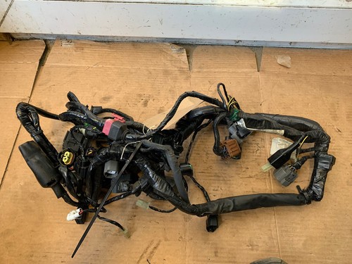 Kawasaki zx10r wiring loom - , to