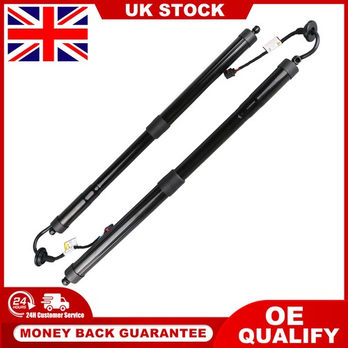 Rear electric tailgate gas - 2x,