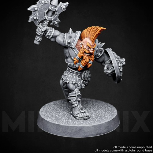 Dwarf gladiator fighter - dwarf,