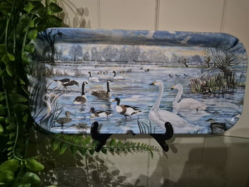 Melamine tray melamaster - melamaster, swan