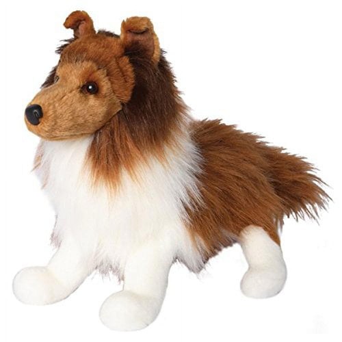 Douglas whispy sheltie dog - sheltie,