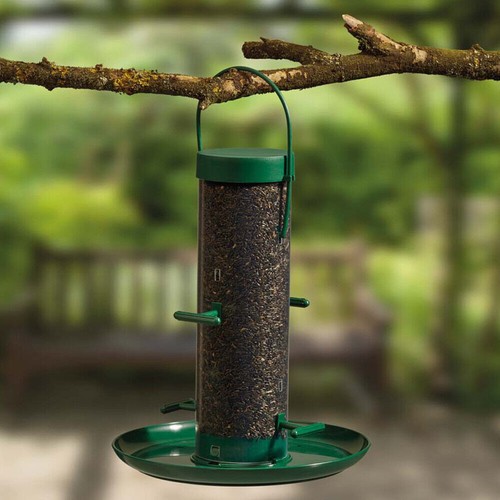 Supa wild bird - wild, hanging