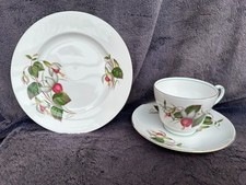 Shelley Vintage Trio (PERFECT)