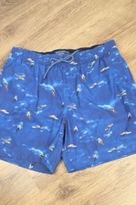 Fat Face Mens Swimming Shorts