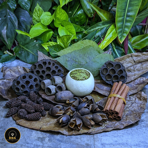 40pk botanical box terrarium - 40pk,