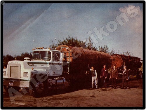 Mack truck new - truck,