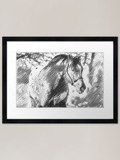Friendly Appaloosa horse �