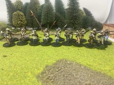 ACW CONFEDERATE INFANTRY PRO PAINTED BY EYE 28MM PERRY MINIATURES