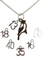 SILVER NECKLACE CANARY BIRD Charm Pendant Birthday Anniversary Gift + Bag