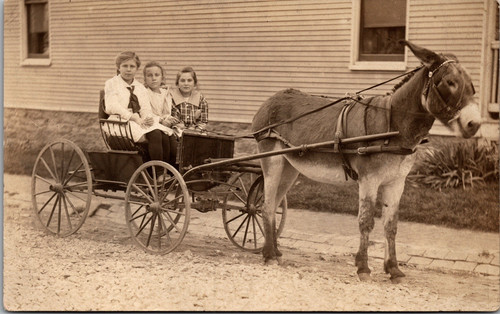 Postcard real photo - postcard, rppc