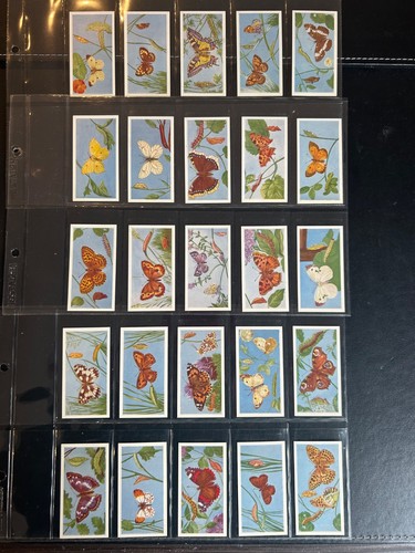 Gaycon full set - set-, british