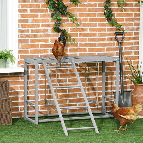 Wooden chicken toys - toys, for