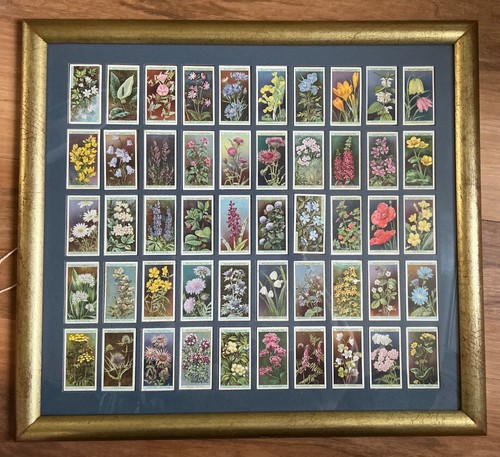Decorative vintage full set - , of