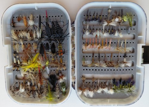 111 fly selection - selection, in