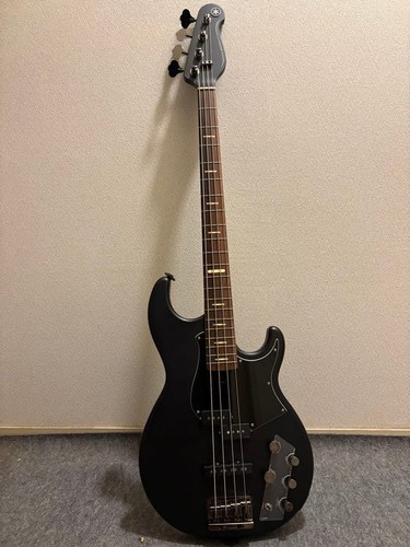 Electric bass guitar - electric,