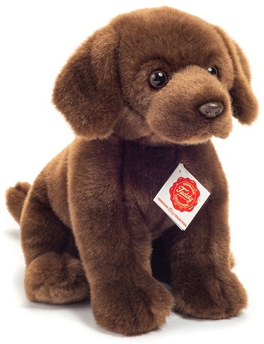 Chocolate labrador teddy - chocolate,