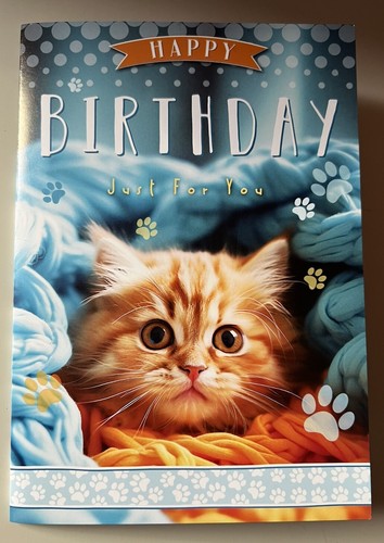 Cute ginger orange tabby - ginger,