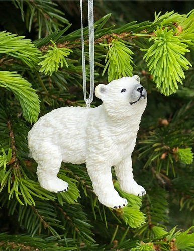 Adorable baby polar bear - adorable,