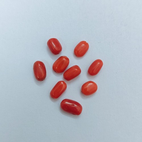Natural italian red coral - italian,