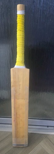 Kippax colossus cricket - colossus, bat(