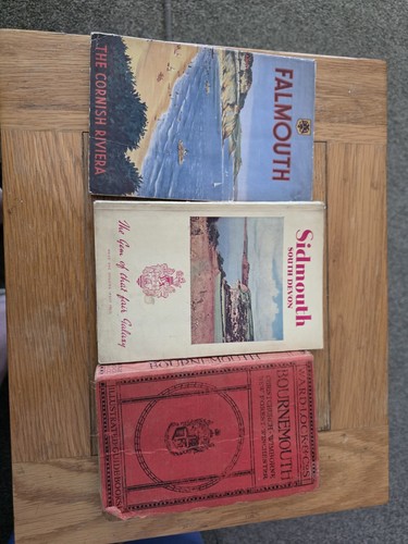 Antique souvenir books - x,
