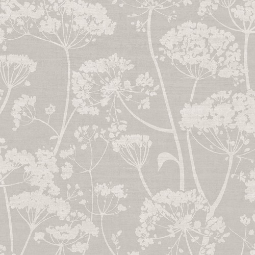 Cow parsley grey wallpaper - parsley,