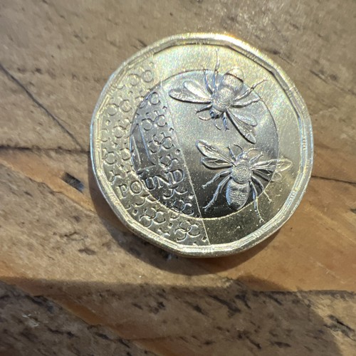 Brand new 2025 - 2025, £1