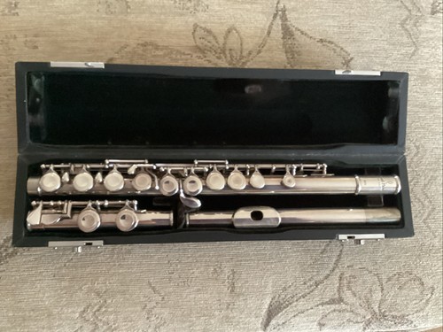 Pearl flute 501 - pf-501, case