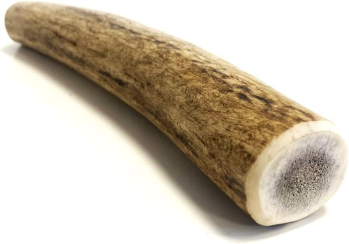 Antler dog chews - x, 1