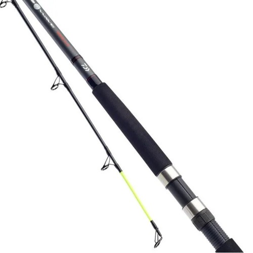 Daiwa sea wave - d, boat