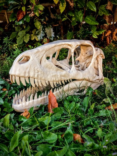 Printed deinonychus - 3d,