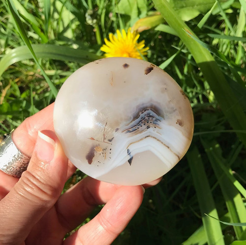 Dendritic agate palm stone - palm,