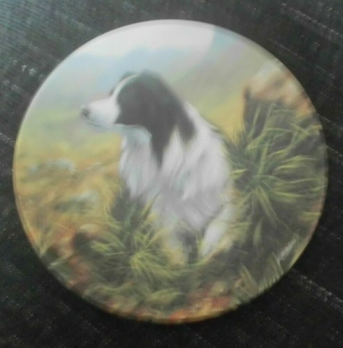 Border collie dog plate - collie,