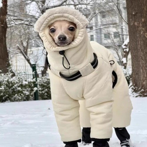 Waterproof winter dog - dog, jumpsuit