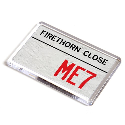 Fridge magnet firethorn - magnet,