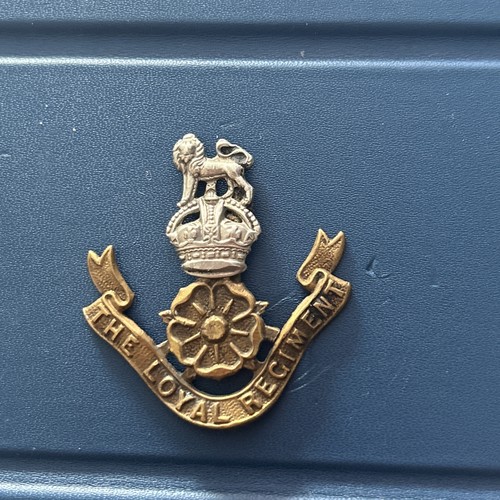Military metal cap badge - military, bi-metal