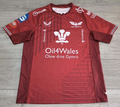 Llanelli scarlets rugby home - llanelli,