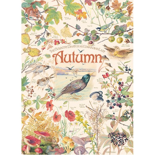 Country diary autumn - autumn, board