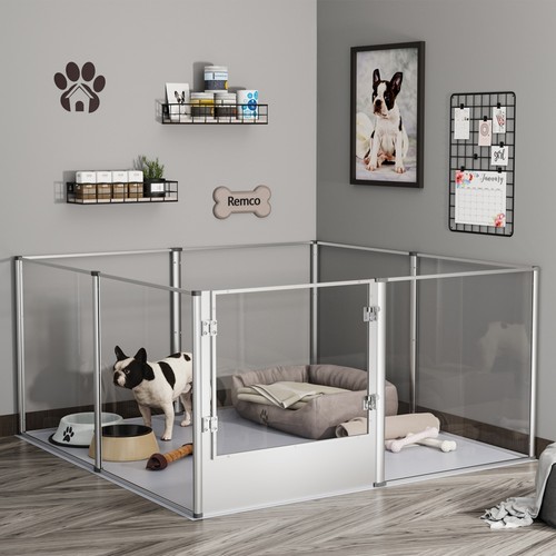 Xxl large dog - xxl,