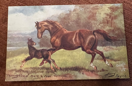 Antique edwardian postcard - antique,