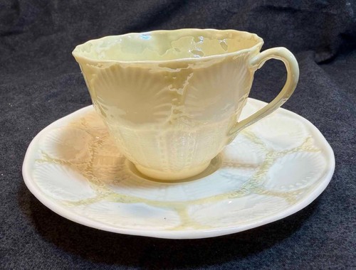 Belleek shell teacup and - teacup,